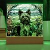 il 1000xN.5556475143 qutb - Yorkshire Terrier Gifts