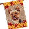 il 1000xN.6224936378 olva - Yorkshire Terrier Gifts