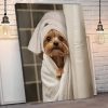 il 1000xN.6287638558 rruy - Yorkshire Terrier Gifts