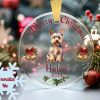 il 1000xN.6312675679 og53 - Yorkshire Terrier Gifts