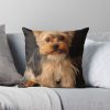 throwpillowsmall1000x bgf8f8f8 c020010001000 6 - Yorkshire Terrier Gifts